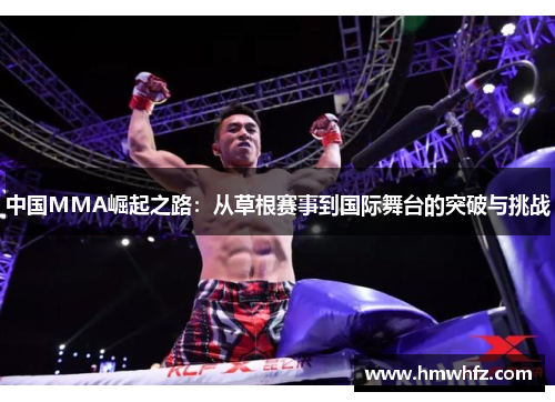 中国MMA崛起之路：从草根赛事到国际舞台的突破与挑战