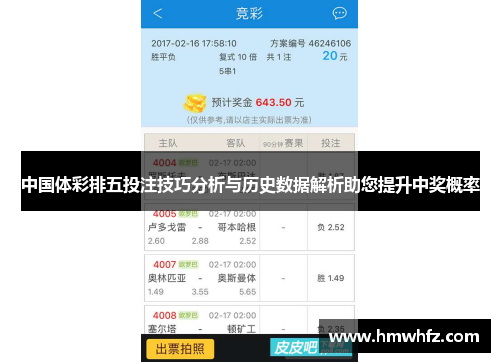 中国体彩排五投注技巧分析与历史数据解析助您提升中奖概率
