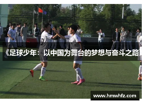 《足球少年：以中国为舞台的梦想与奋斗之路》