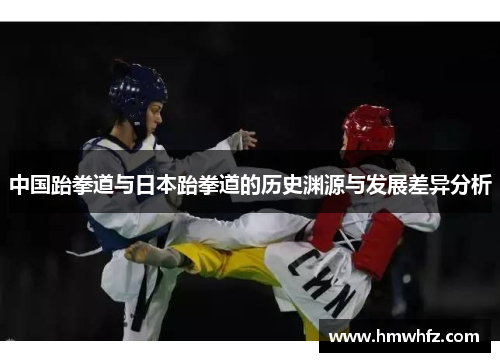 中国跆拳道与日本跆拳道的历史渊源与发展差异分析