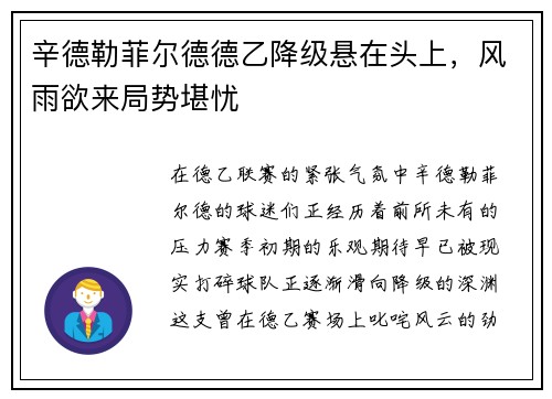 辛德勒菲尔德德乙降级悬在头上，风雨欲来局势堪忧